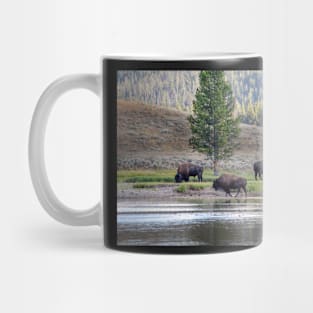 Three Buffalo grazing in Yellowstone Mug